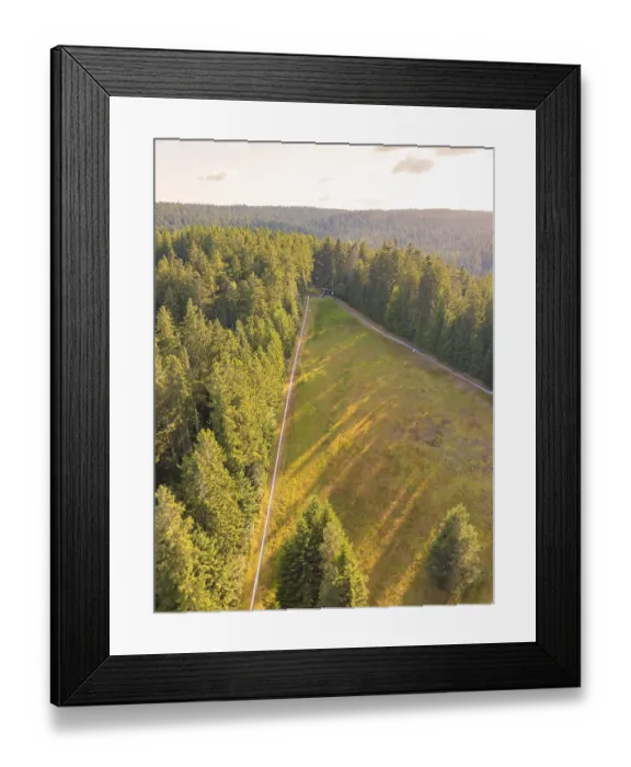 Framed Print : Aerial view of a green forest with open clearing