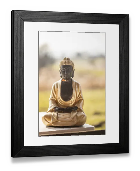 Framed Print : Buddha statue at an Indian temple Framed Print : Buddha statue at an Indian temple