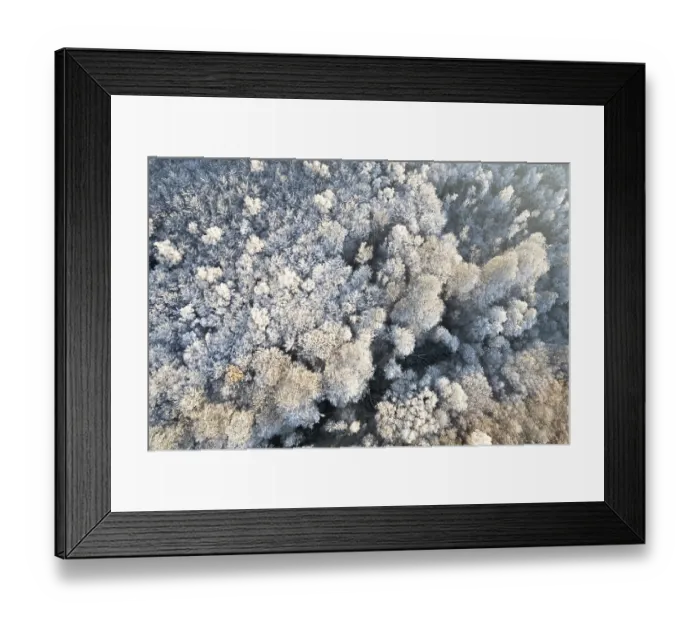Framed Print : Drone shot of forest in winter Framed Print : Drone shot of forest in winter