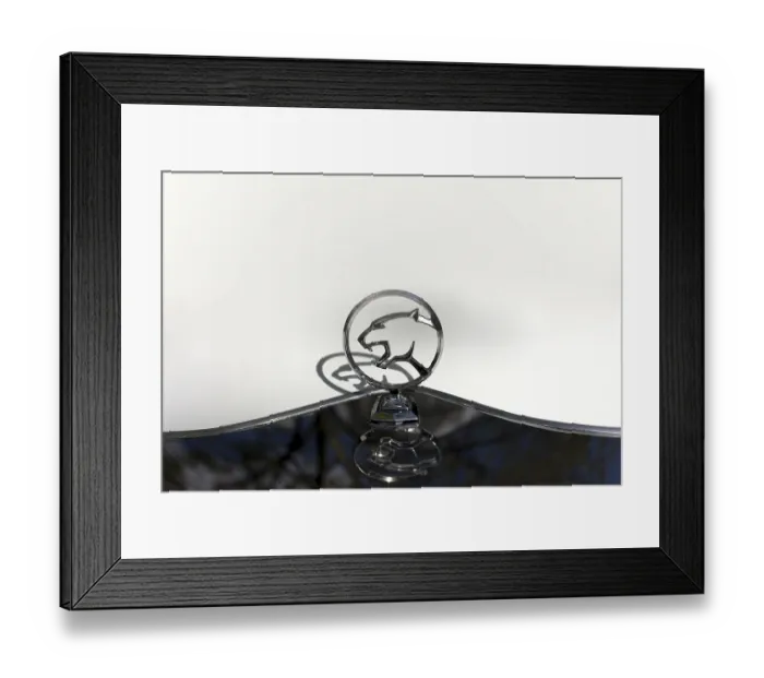 Framed Print : Cougar as radiator mascot on a Roadster Phantom
