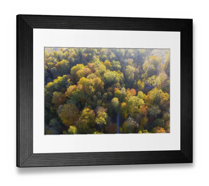 Framed Print : Autumnal deciduous forest, drone shot Framed Print : Autumnal deciduous forest, drone shot