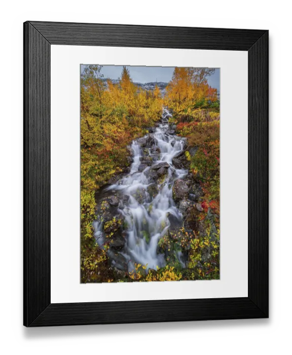 Framed Print : Small mountain stream with colourful vegetation in autumn