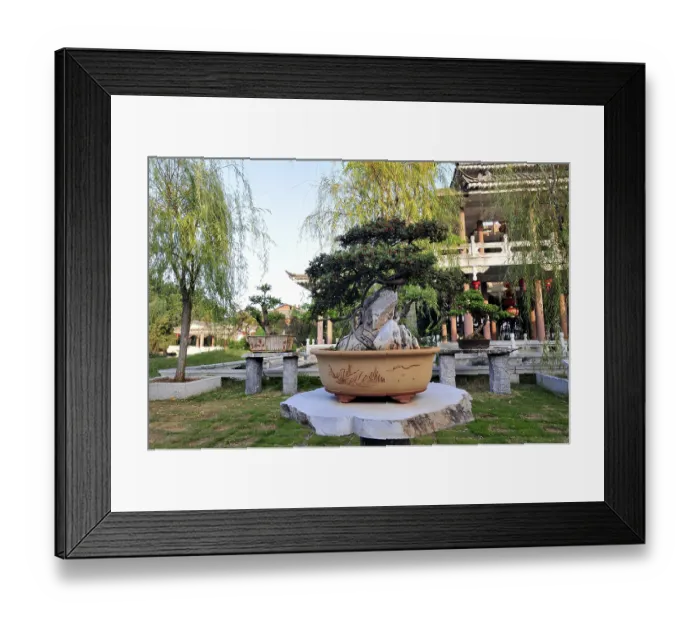 Framed Print : Zhu family bonsai garden, yunnan, china