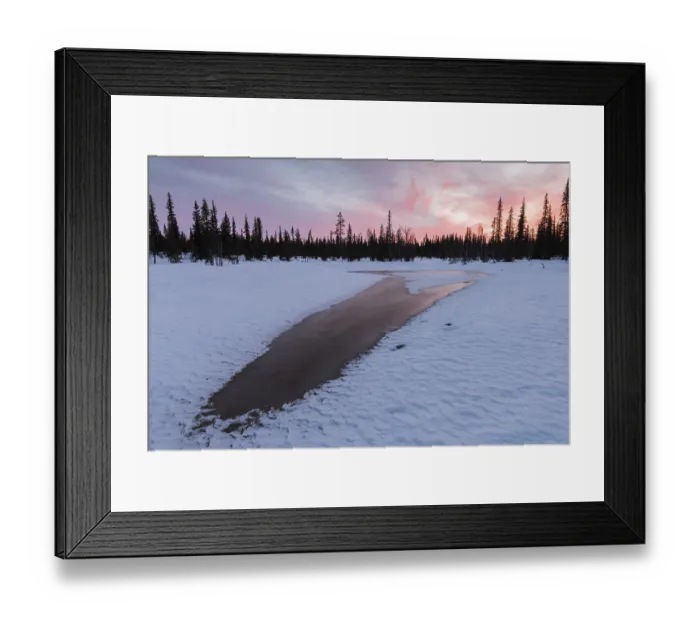Framed Print : Evening mood, Muddus National Park Framed Print : Evening mood, Muddus National Park