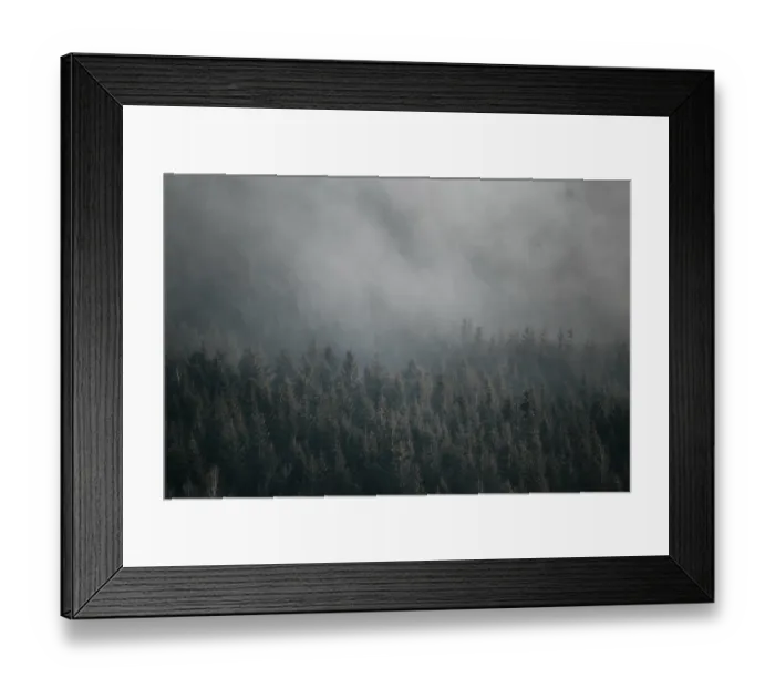 Framed Print : Misty forest with pine trees creating a moody and atmospheric scenery Framed Print : Misty forest with pine trees creating a moody and atmospheric scenery