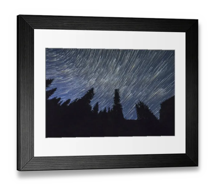 Framed Print : Star Trails on Night Sky over Coniferous Forest Framed Print : Star Trails on Night Sky over Coniferous Forest