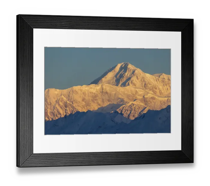 Framed Print : Pink Denali Mountain at Sunrise. Alaska, USA