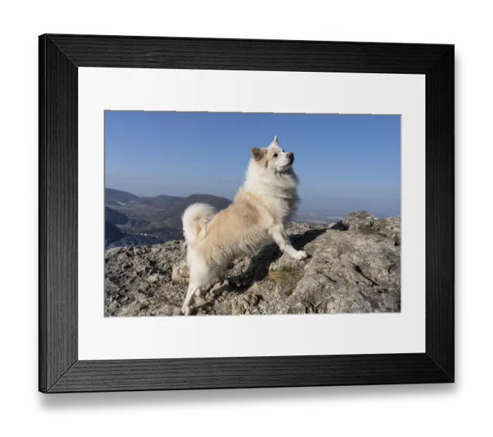 Framed Print : Climbing exercises in rocky terrain