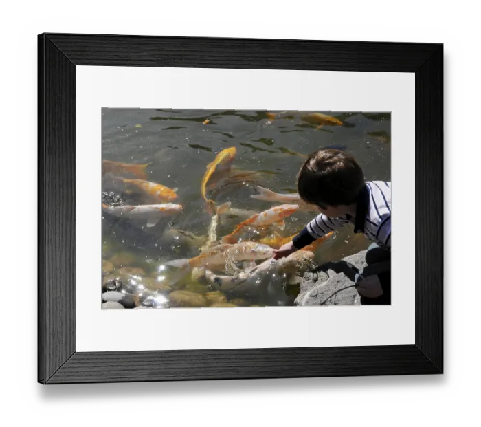Framed Print : Japanese garden, Monte Carlo, Monaco