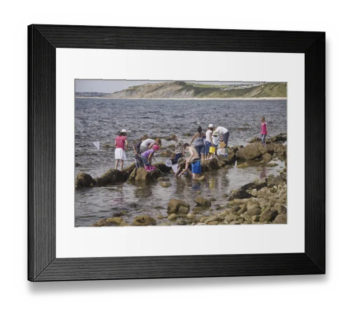 Framed Print : Group of children exploring rock pools on the coast with nets and buckets