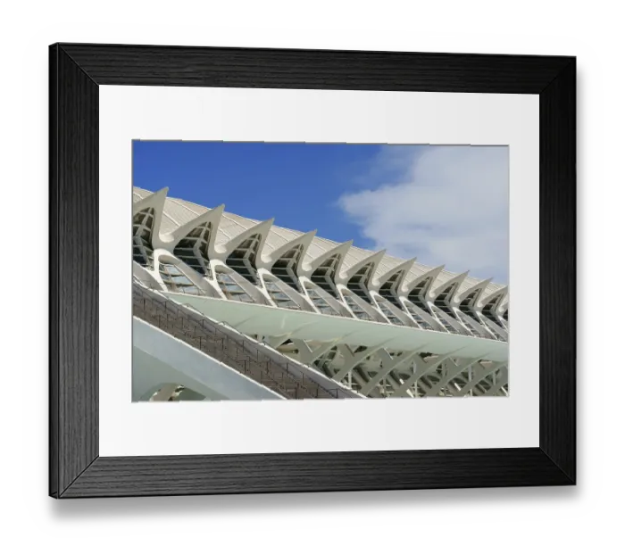 Framed Print : Valencia, Spain, June 01, 2010: Museum of Sciences Principe Felipe in Valencia Framed Print : Valencia, Spain, June 01, 2010: Museum of Sciences Principe Felipe in Valencia