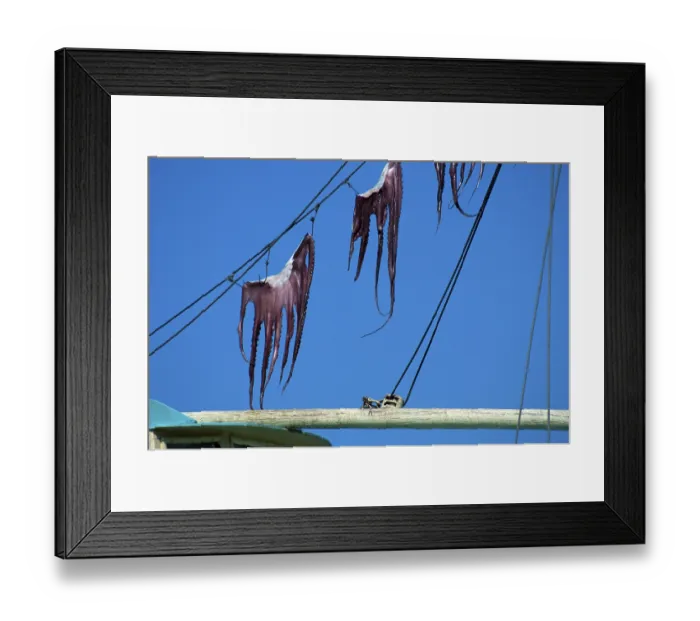 Framed Print : Octopuses hung out to dry, Greece