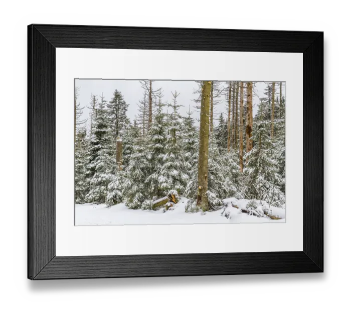 Framed Print : Harz National Park the Oderteich in winter Framed Print : Harz National Park the Oderteich in winter