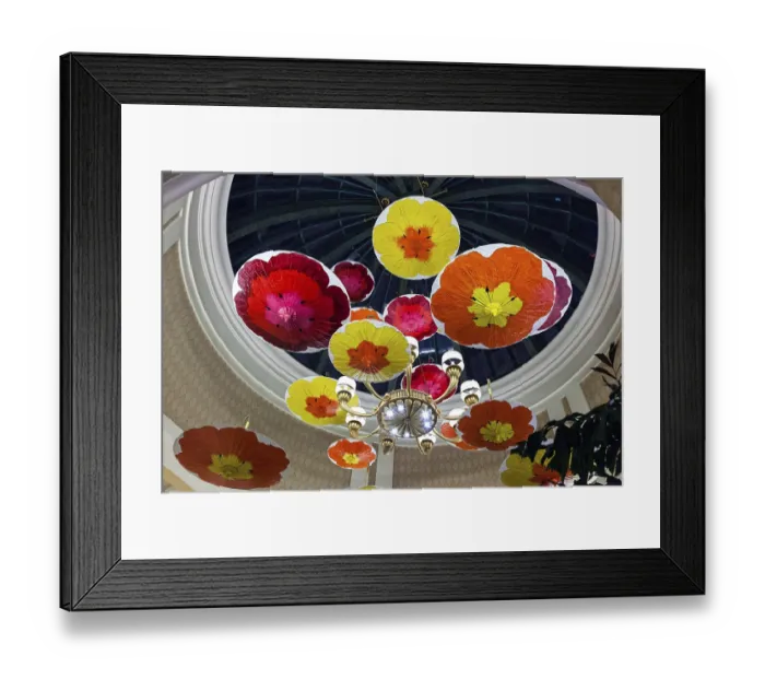 Framed Print : Brightly Coloured Parasols Hanging from the Ceiling Framed Print : Brightly Coloured Parasols Hanging from the Ceiling