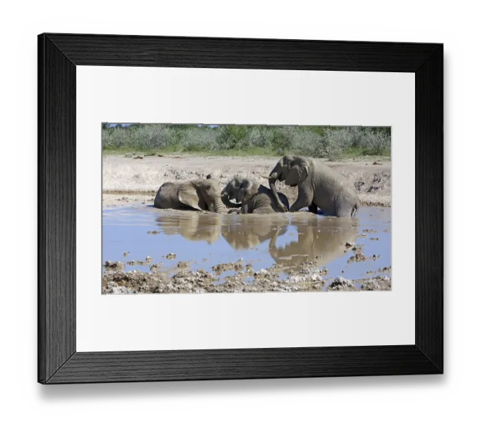 Framed Print : Elephants in the waterhole Framed Print : Elephants in the waterhole