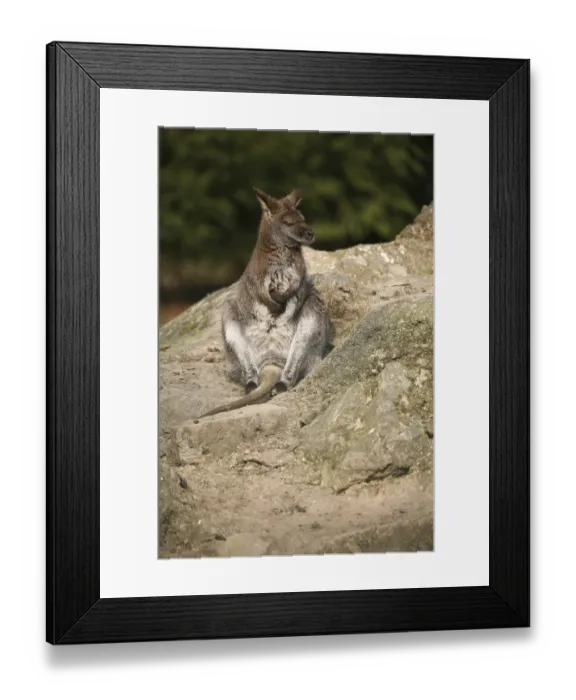 Framed Print : Break on a rock Framed Print : Break on a rock