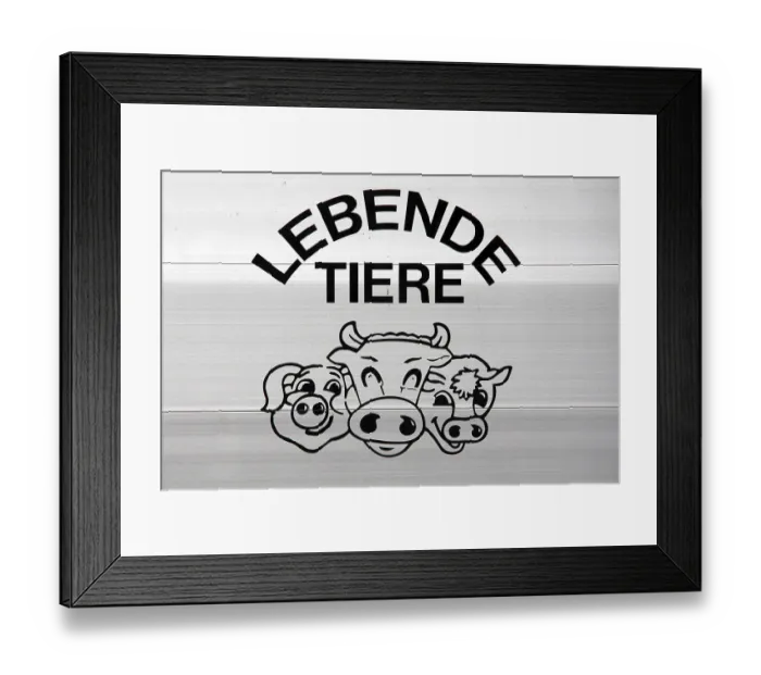 Framed Print : Live animals
