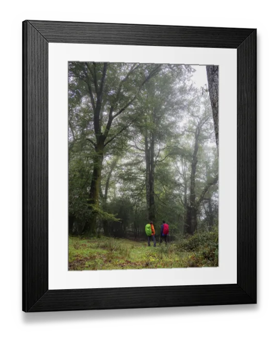 Framed Print : Hikers, Robledal de Ucieda, Saja-Besaya natural park