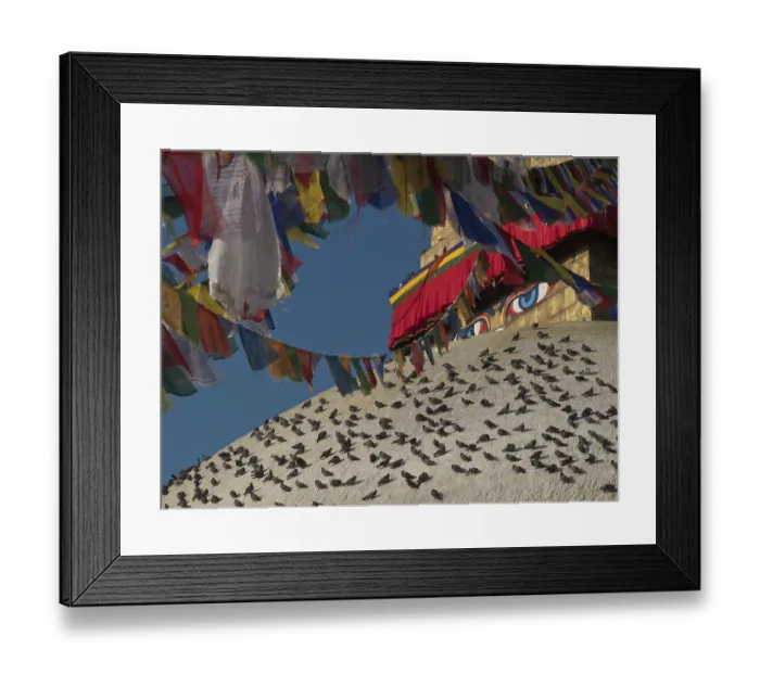 Framed Print : Hundreds of doves warming themselves on the top of Boudnath stupa