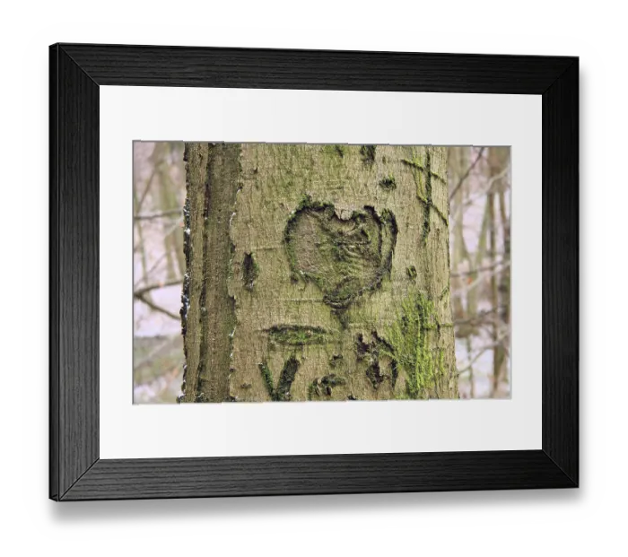 Framed Print : Heart and some letters carved into a deciduous tree Framed Print : Heart and some letters carved into a deciduous tree