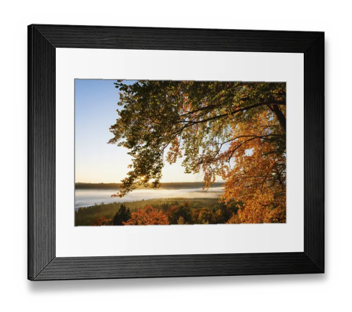 Framed Print : Autumn red beeches and fog in the Pupplinger Au at sunrise