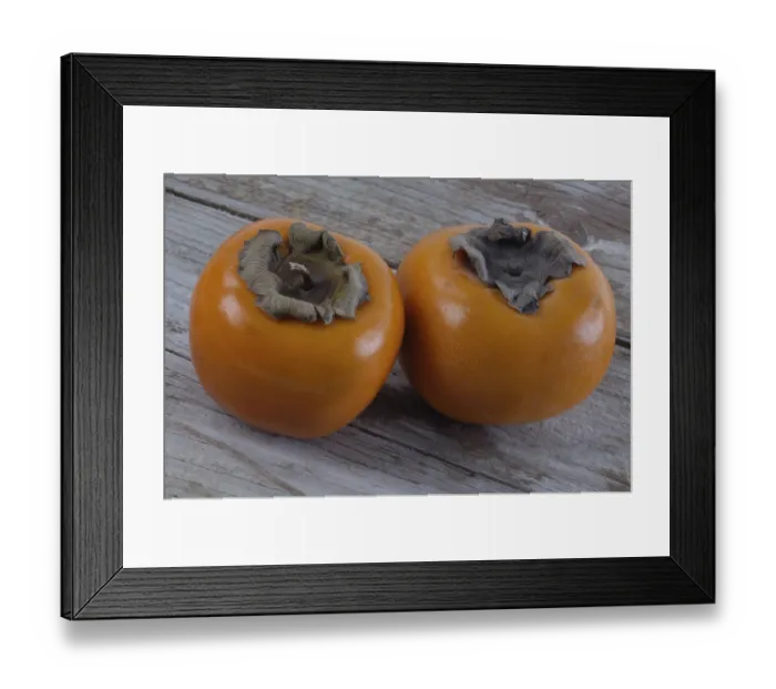 Framed Print : Japanese Japanese persimmon (Diospyros kaki) fruits Framed Print : Japanese Japanese persimmon (Diospyros kaki) fruits