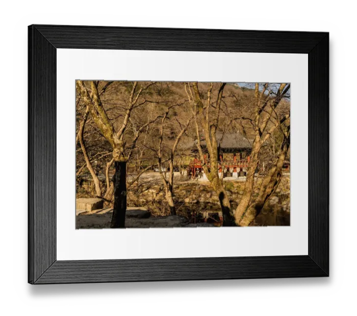 Framed Print : Pavilion behind leafless trees at Buddhist temple on late autumn morning