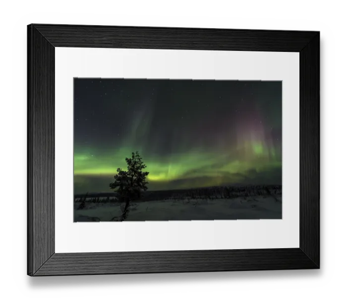 Framed Print : Northern Lights (Aurora borealis) over snowy landscape