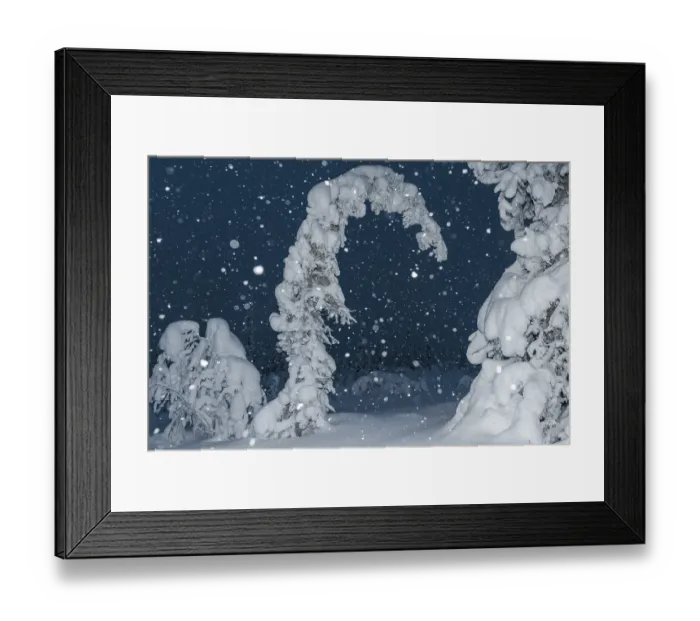 Framed Print : Snowfall in a snow-covered landscape Framed Print : Snowfall in a snow-covered landscape
