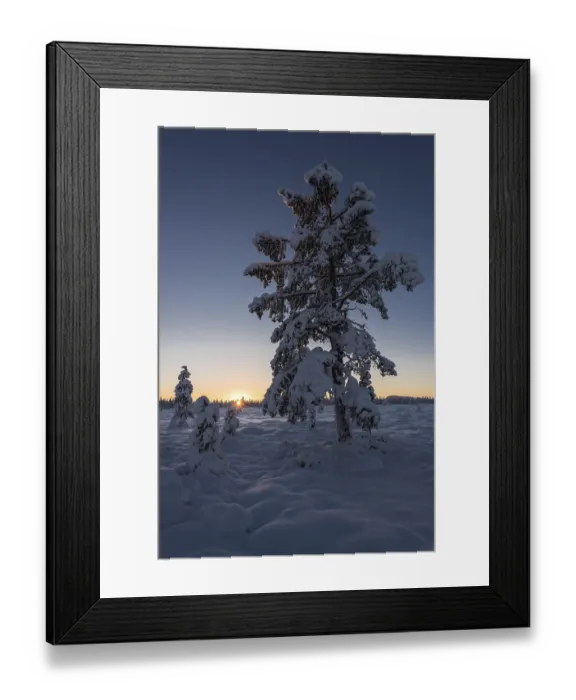 Framed Print : Winter landscape, Muddus National Park Framed Print : Winter landscape, Muddus National Park