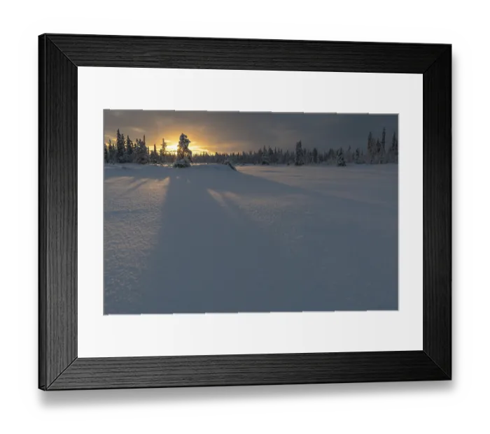 Framed Print : Winter landscape, Muddus National Park Framed Print : Winter landscape, Muddus National Park