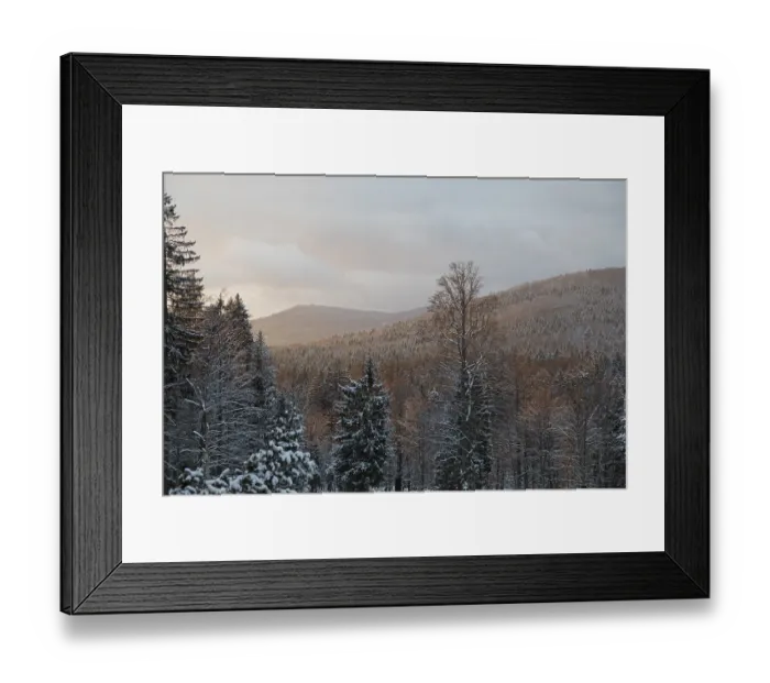 Framed Print : Winter forest at sunset, Winter forest at sunset Framed Print : Winter forest at sunset, Winter forest at sunset