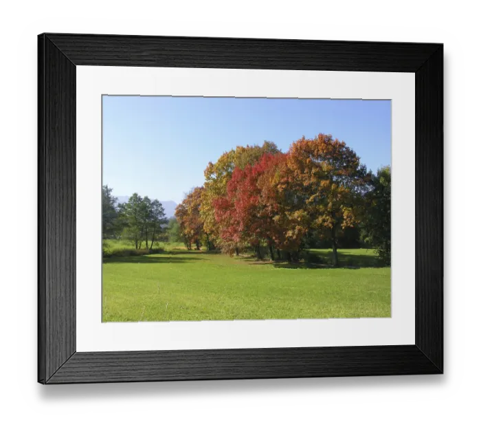 Framed Print : In Upper Bavaria Framed Print : In Upper Bavaria