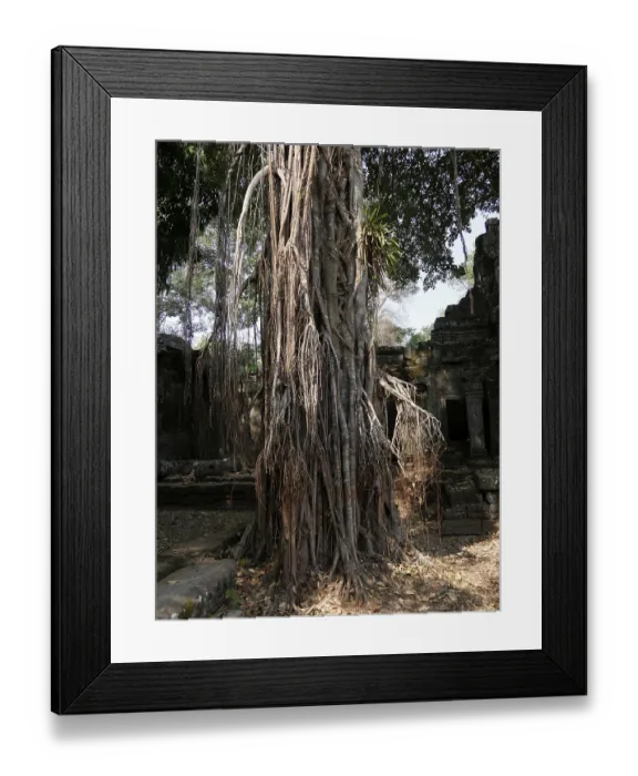 Framed Print : Preah Khan Temple, Siem Reap Province Framed Print : Preah Khan Temple, Siem Reap Province