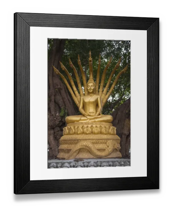 Framed Print : Buddha Statue, Wat Wisunalat, Luang Prabang