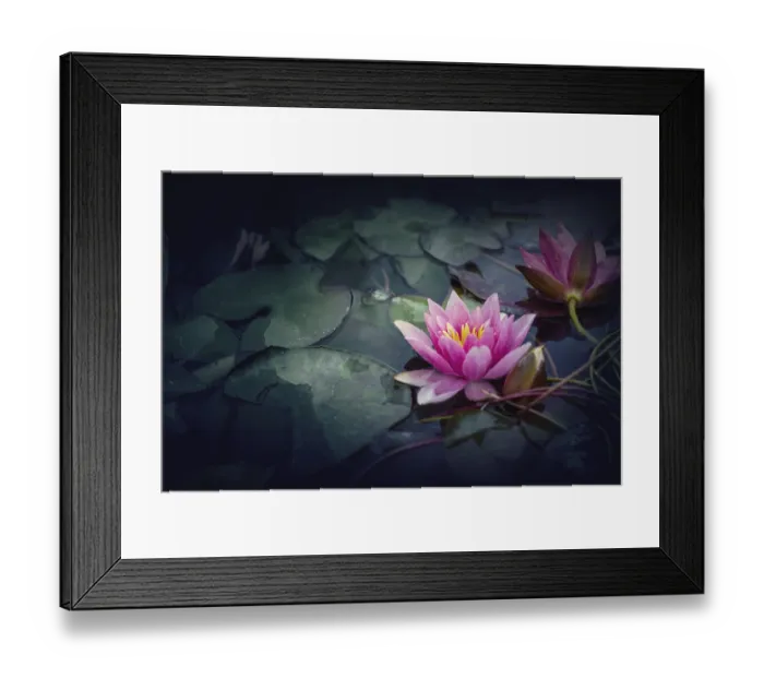 Framed Print : Pink Lotus, water plant in a pond in vintage style