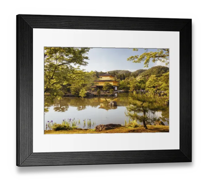 Framed Print : The world famous Kinkakuji Temple (The Golden Pavilion) in Kyoto