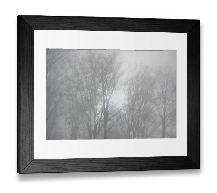 Framed Print : Fog in the winter forest Framed Print : Fog in the winter forest