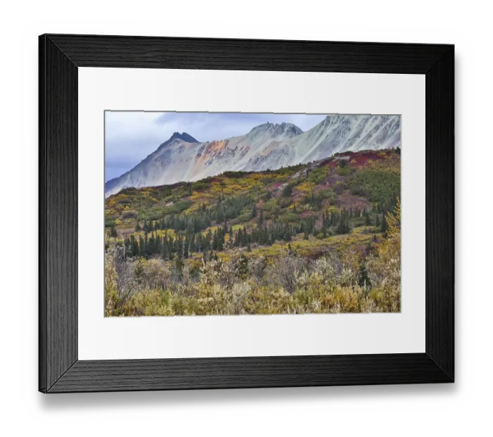 Framed Print : Spectacular colored mountains and fall scenery along the Richardson Highway