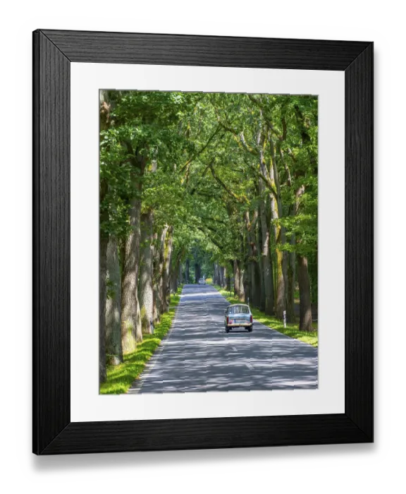 Framed Print : Trabant, Trabbi, on an avenue near Neuruppin Framed Print : Trabant, Trabbi, on an avenue near Neuruppin