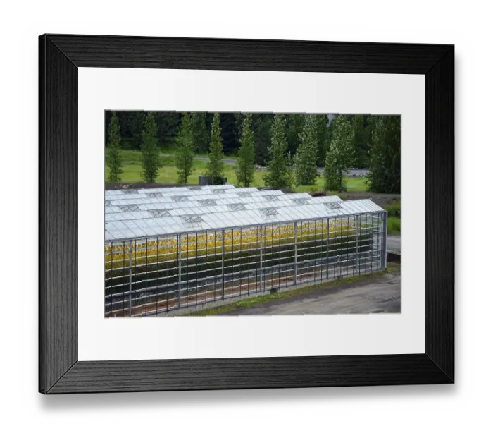 Framed Print : Greenhouse, Fludir, geothermal area, Iceland