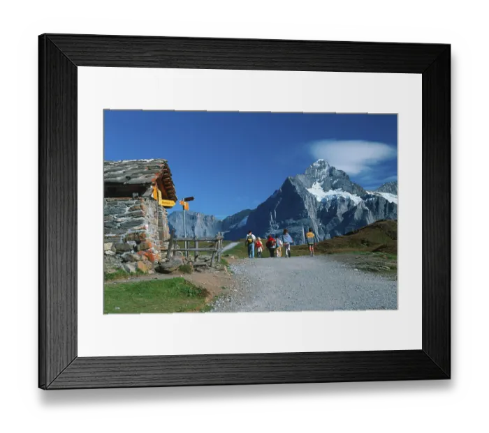 Framed Print : Hiker, Bernese Oberland, Alps, Switzerland Framed Print : Hiker, Bernese Oberland, Alps, Switzerland