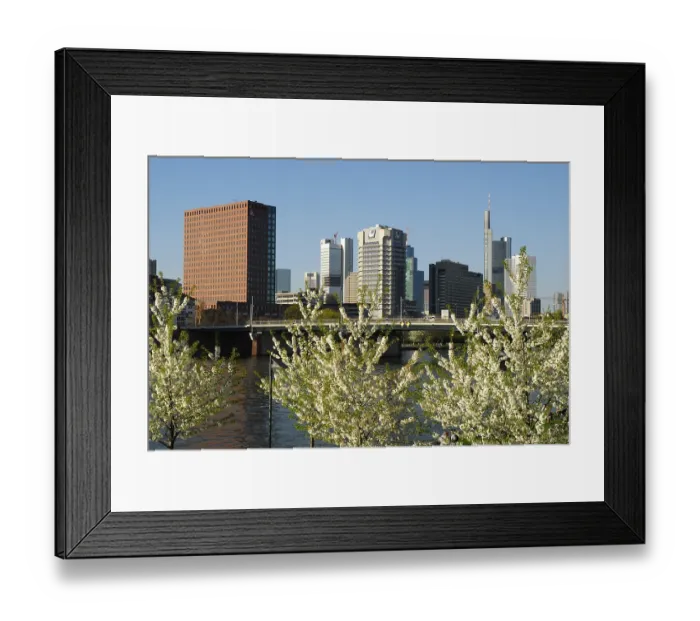 Framed Print : Trees with white blossoms at the riverside of the Main River in front of the skyline of the office and banking district