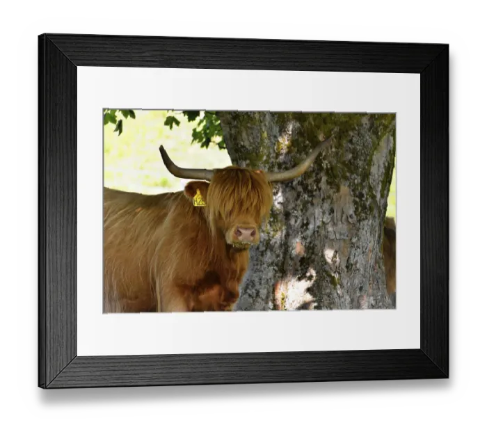 Framed Print : Isle of Skye, Inner Hebrides, Highlands and Islands