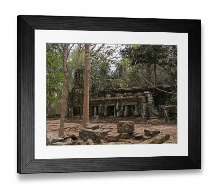 Framed Print : Ruins at Ta Prohm Temple, Siem Reap Province