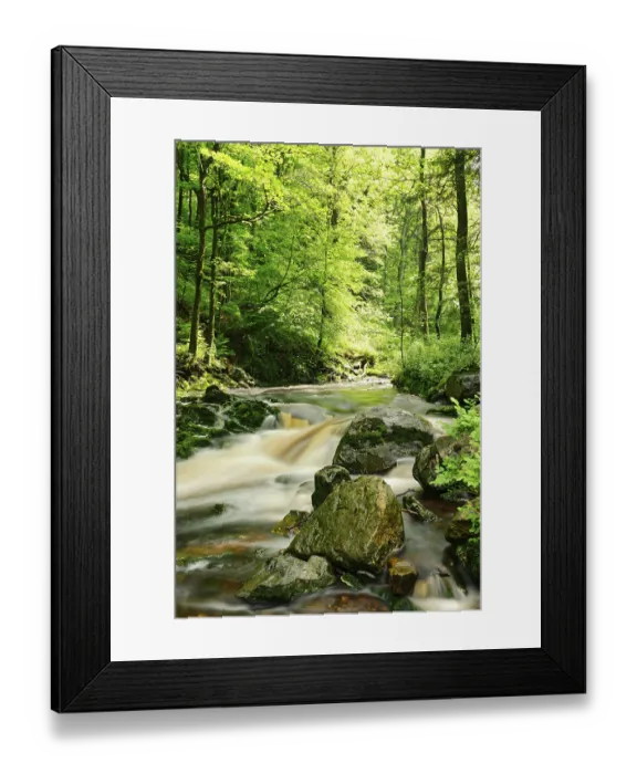 Framed Print : Hoegne stream, High Fens, Ardennes