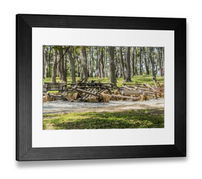 Framed Print : A pile of dismantled wooden logs and debris in a forest setting