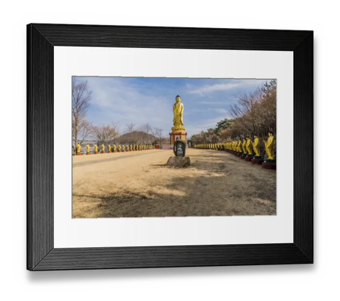 Framed Print : Large golden standing Buddha in field lined with standing Buddhas at Manbulsa Temple in Yeongcheon