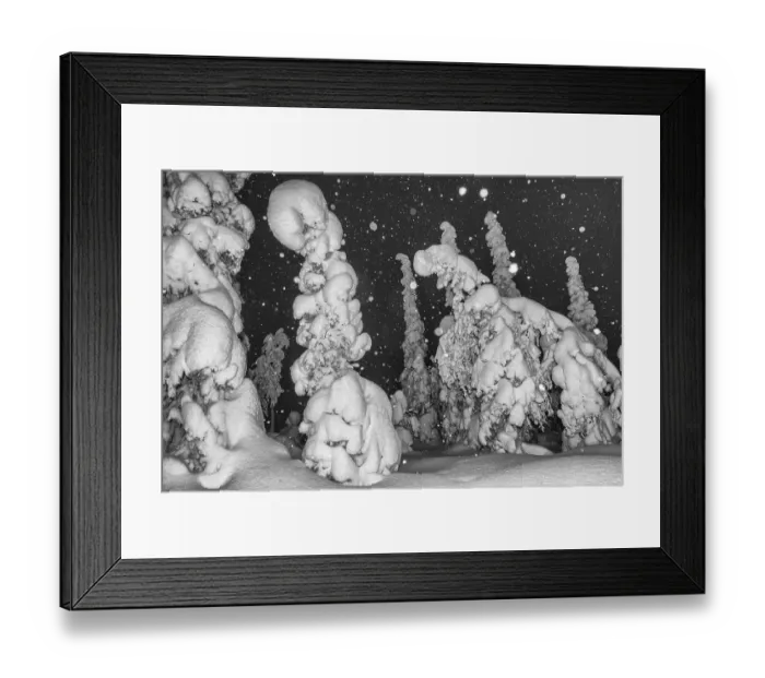 Framed Print : Snowfall in a snow-covered landscape Framed Print : Snowfall in a snow-covered landscape