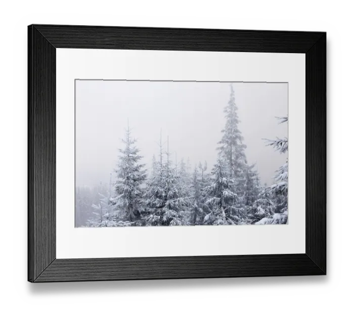 Framed Print : Winter forest